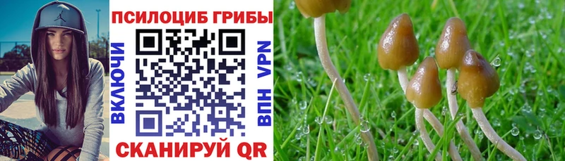 Псилоцибиновые грибы MAGIC MUSHROOMS  купить наркоту  Суоярви 